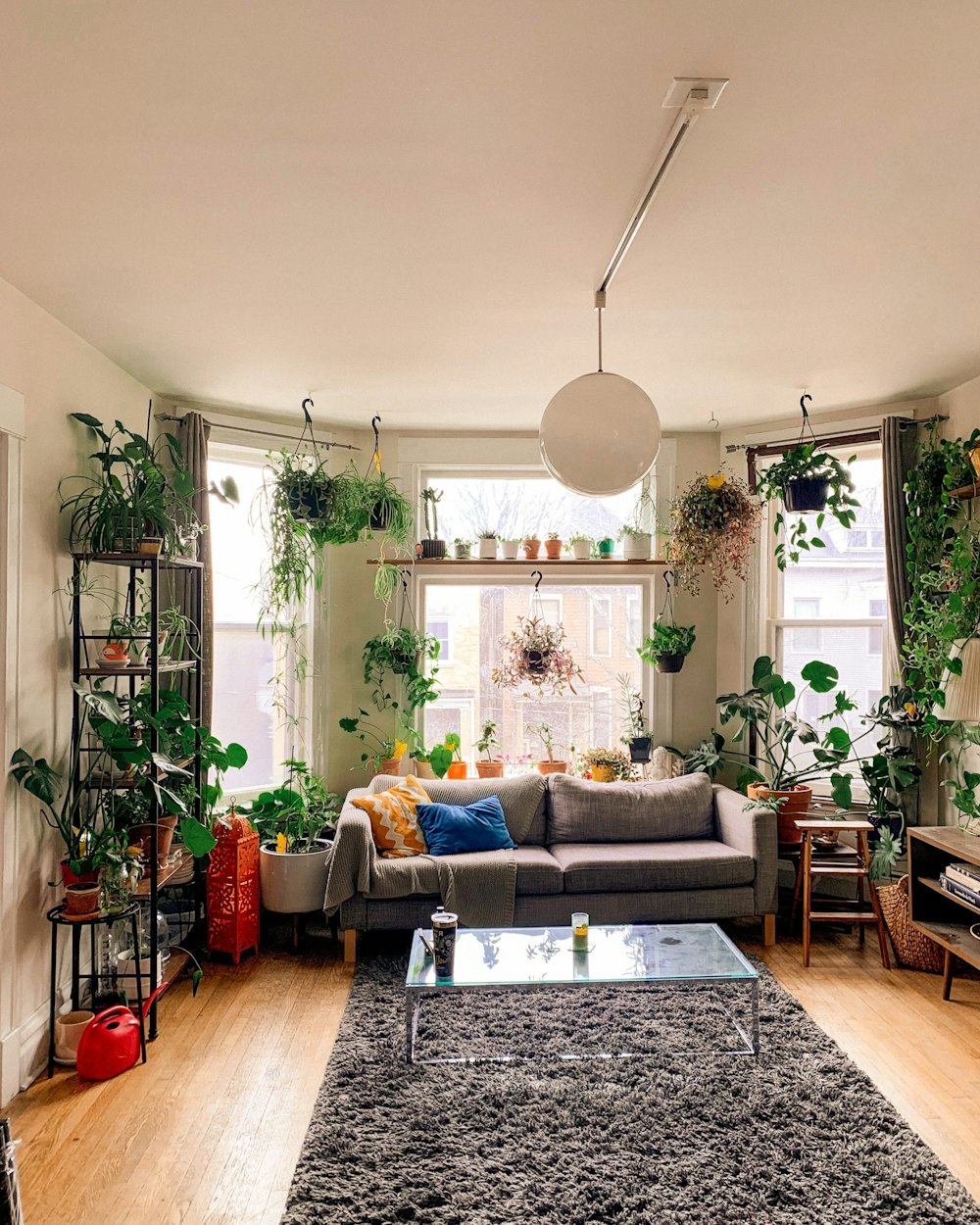 Sala con jardín interior y plantas colgantes